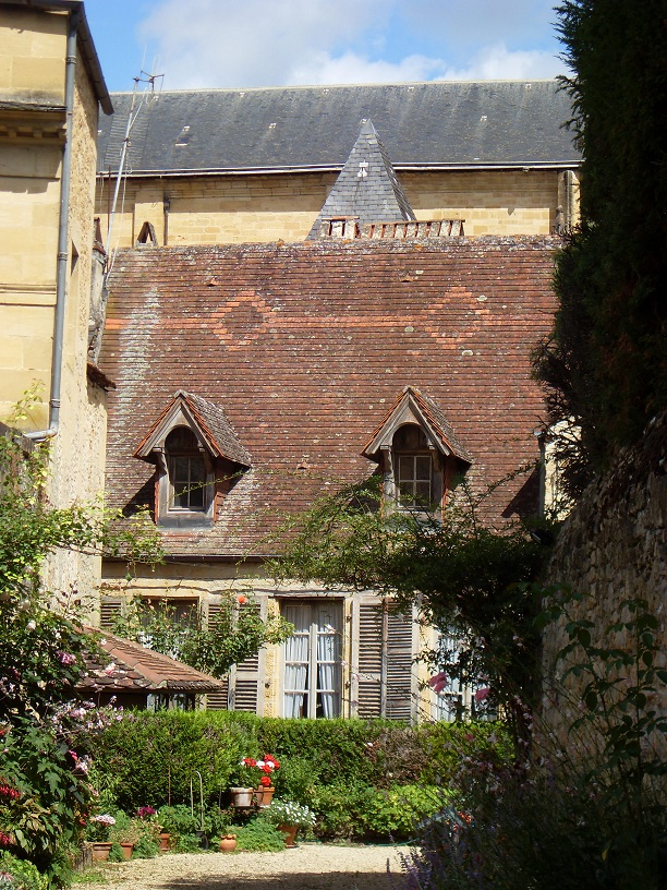 SDC11391