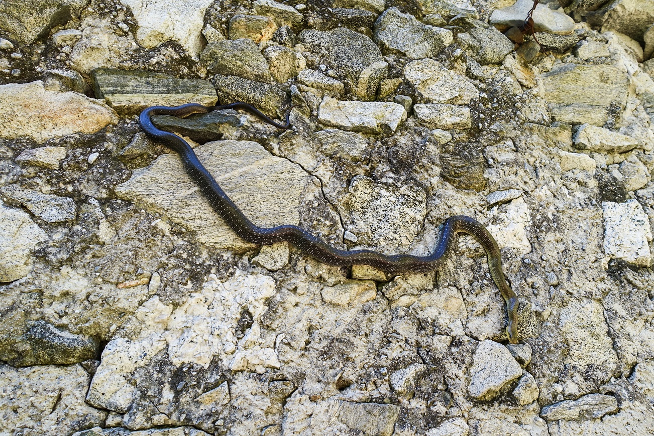 Tag02_AufstiegZurErstenHuette_09