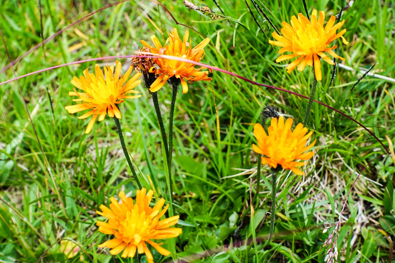 Tag06_DurchSteinwuesteInLieblichesTal_10