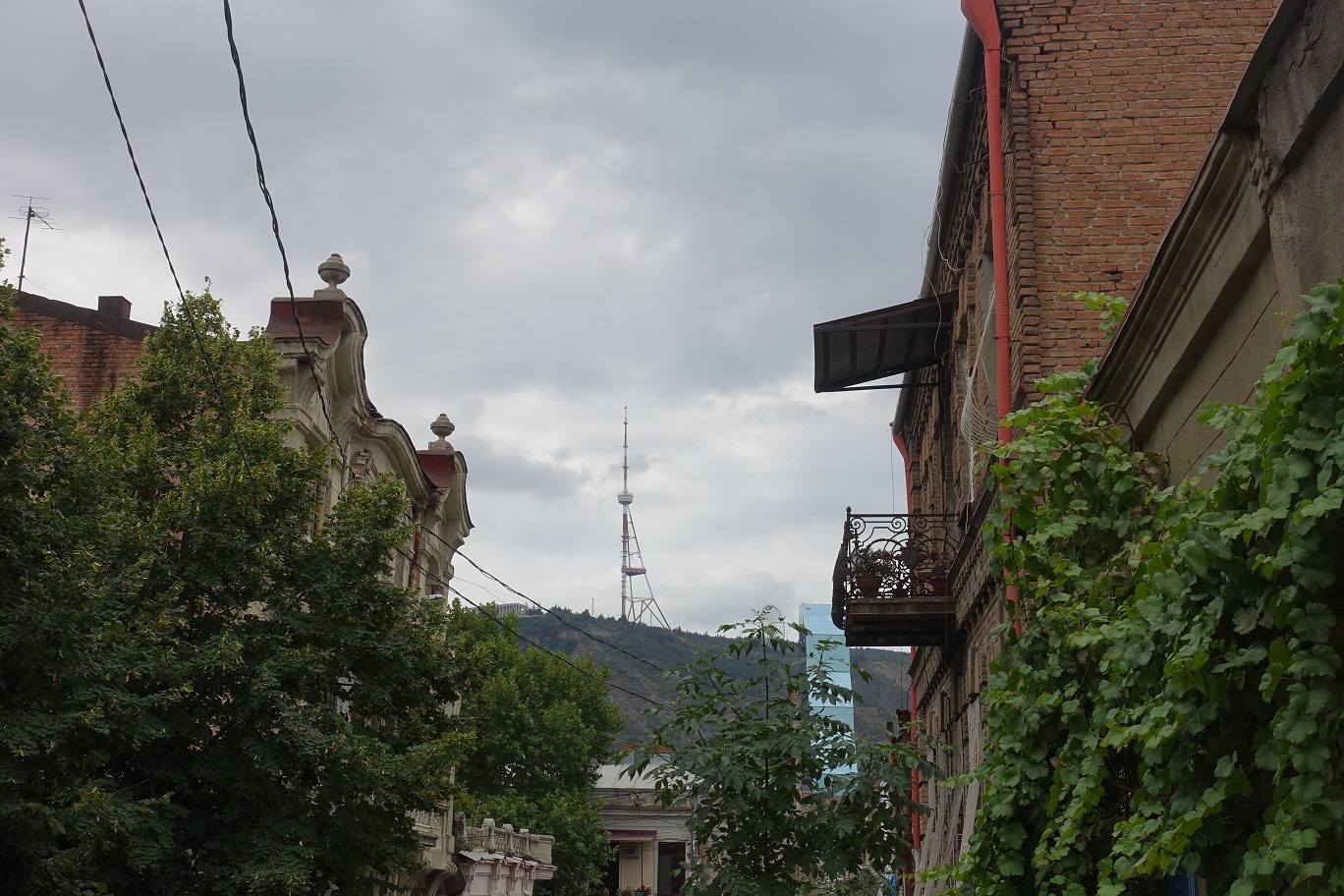 DSC06586