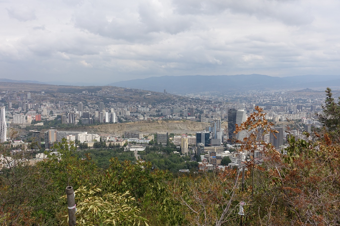 DSC06601