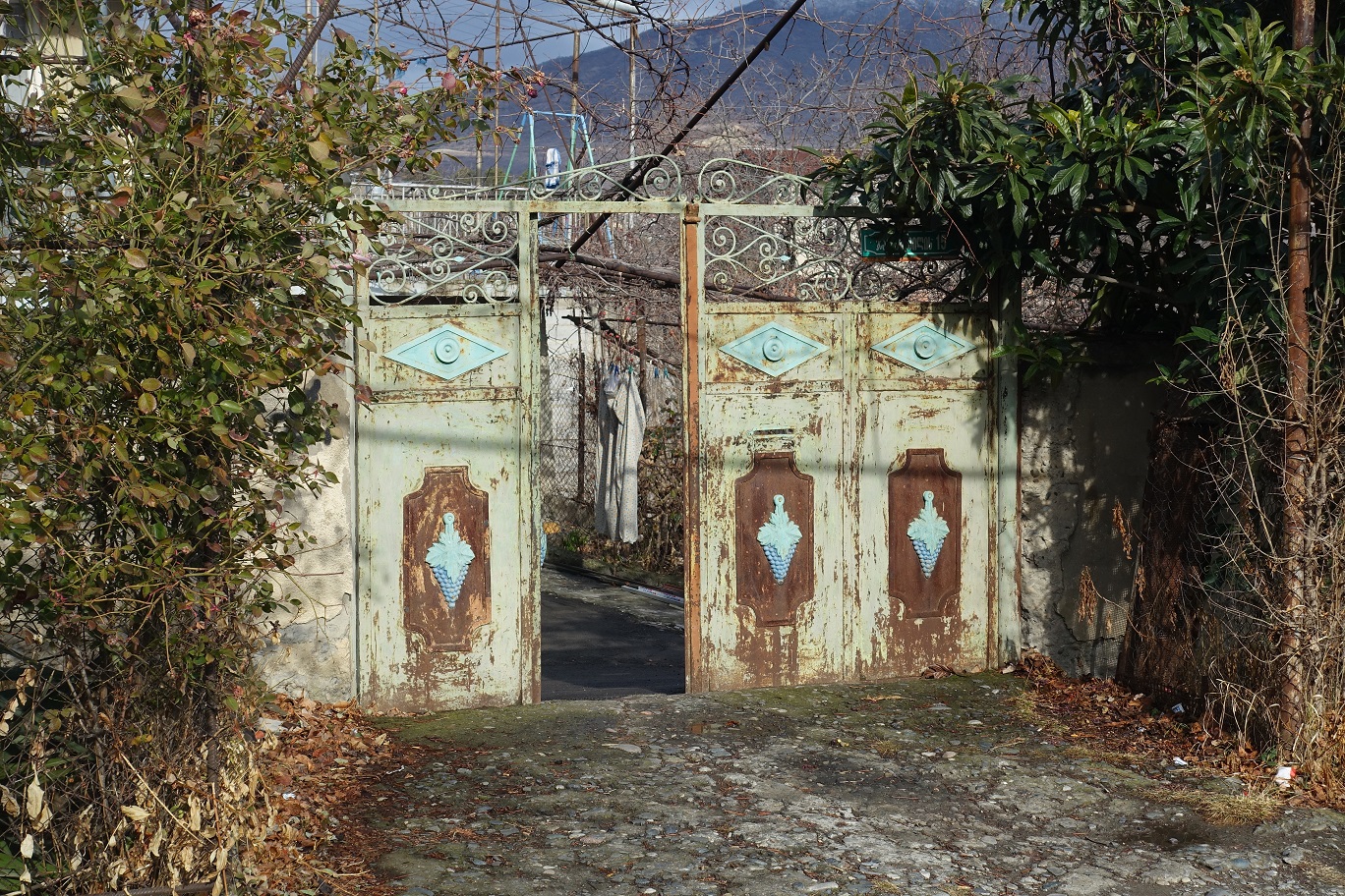 DSC03260