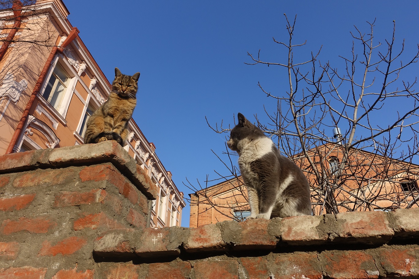 01_12_Sololaki