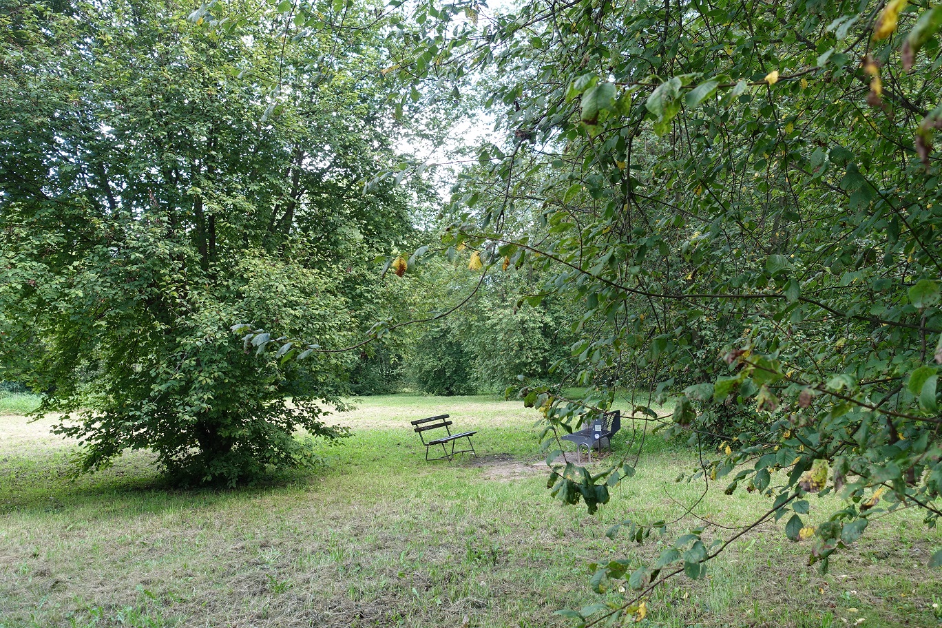 DSC05112