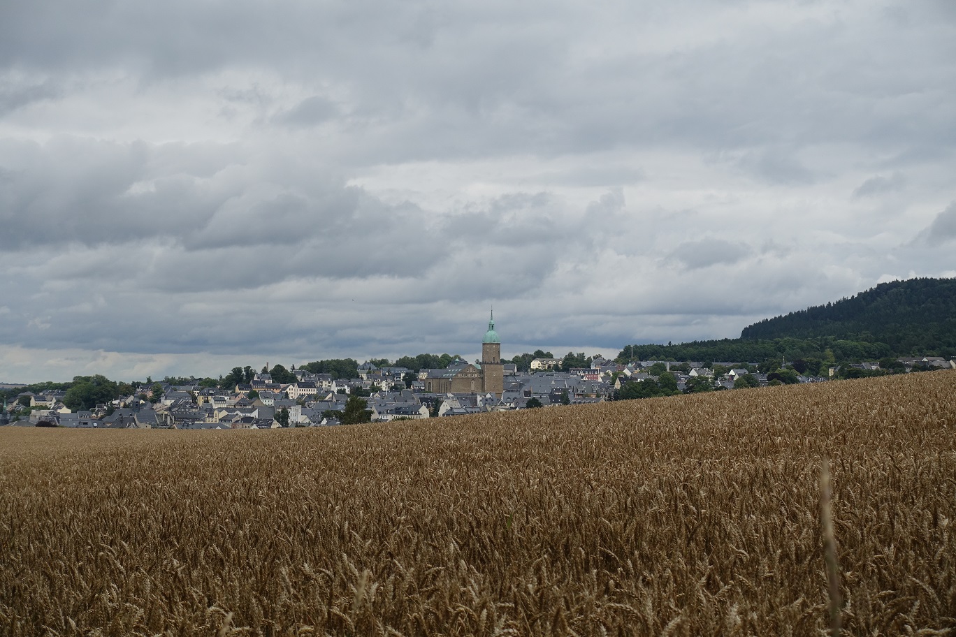 DSC05237