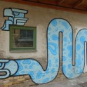DSC05243
