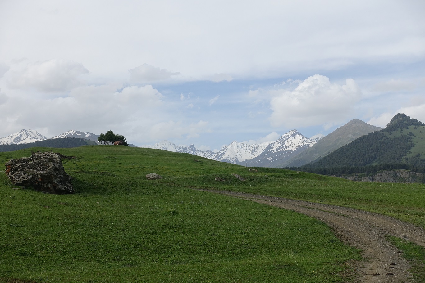 08_Omalo_19