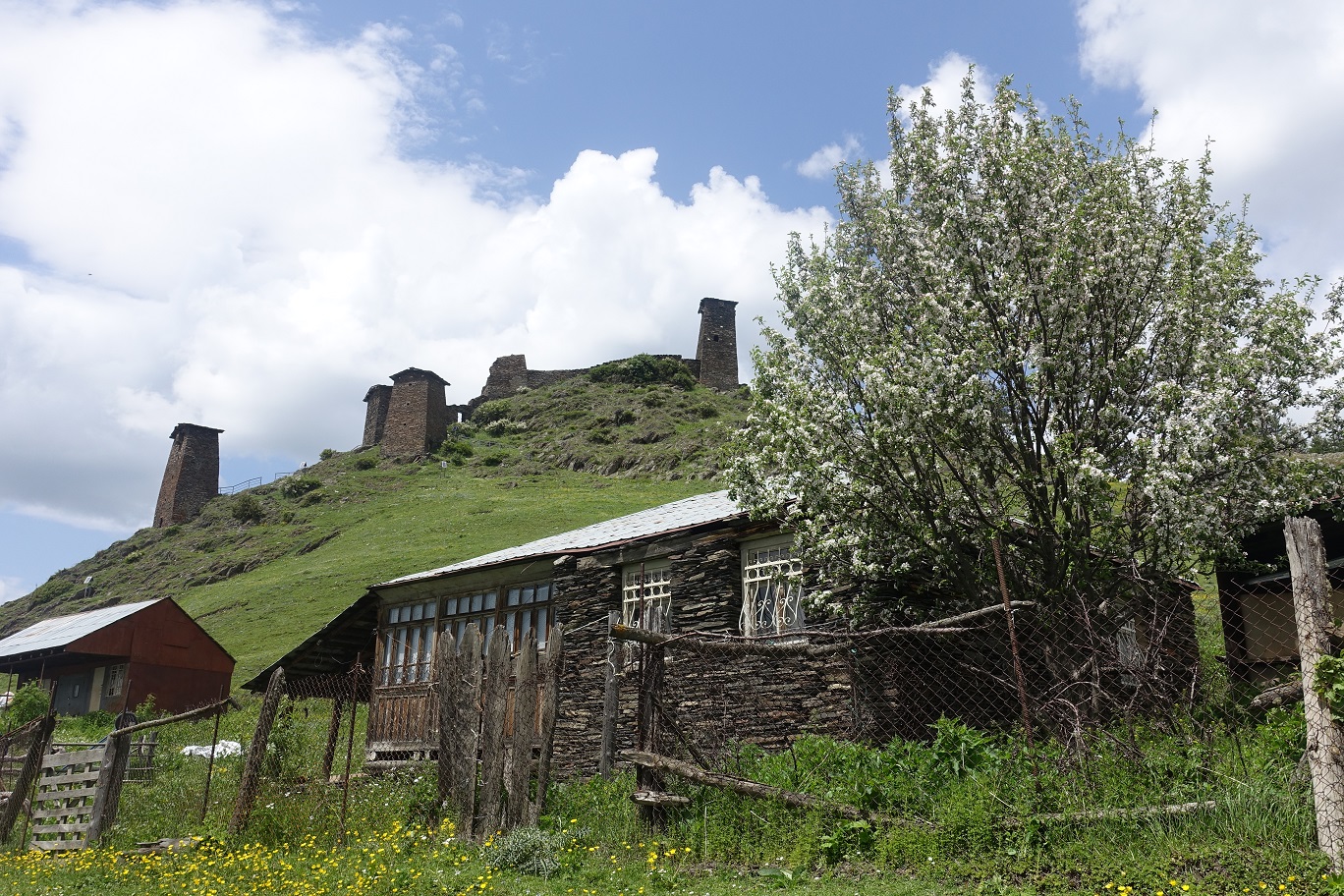 08_Omalo_7