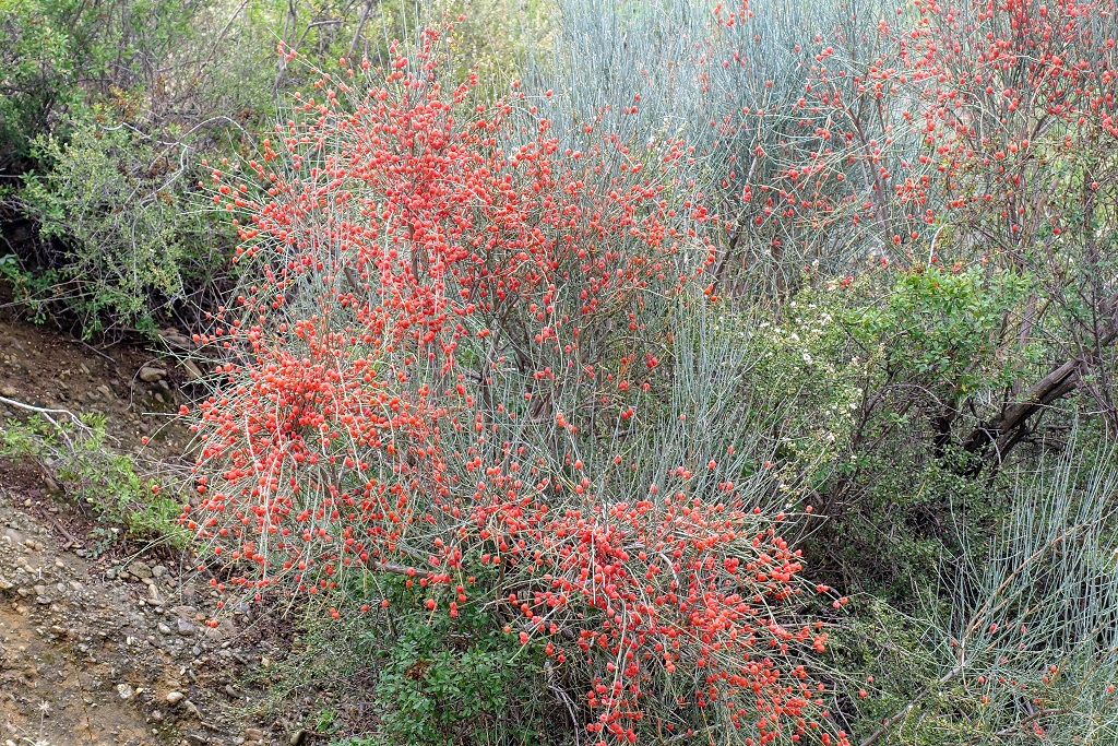 21_Regenbogenberge_5