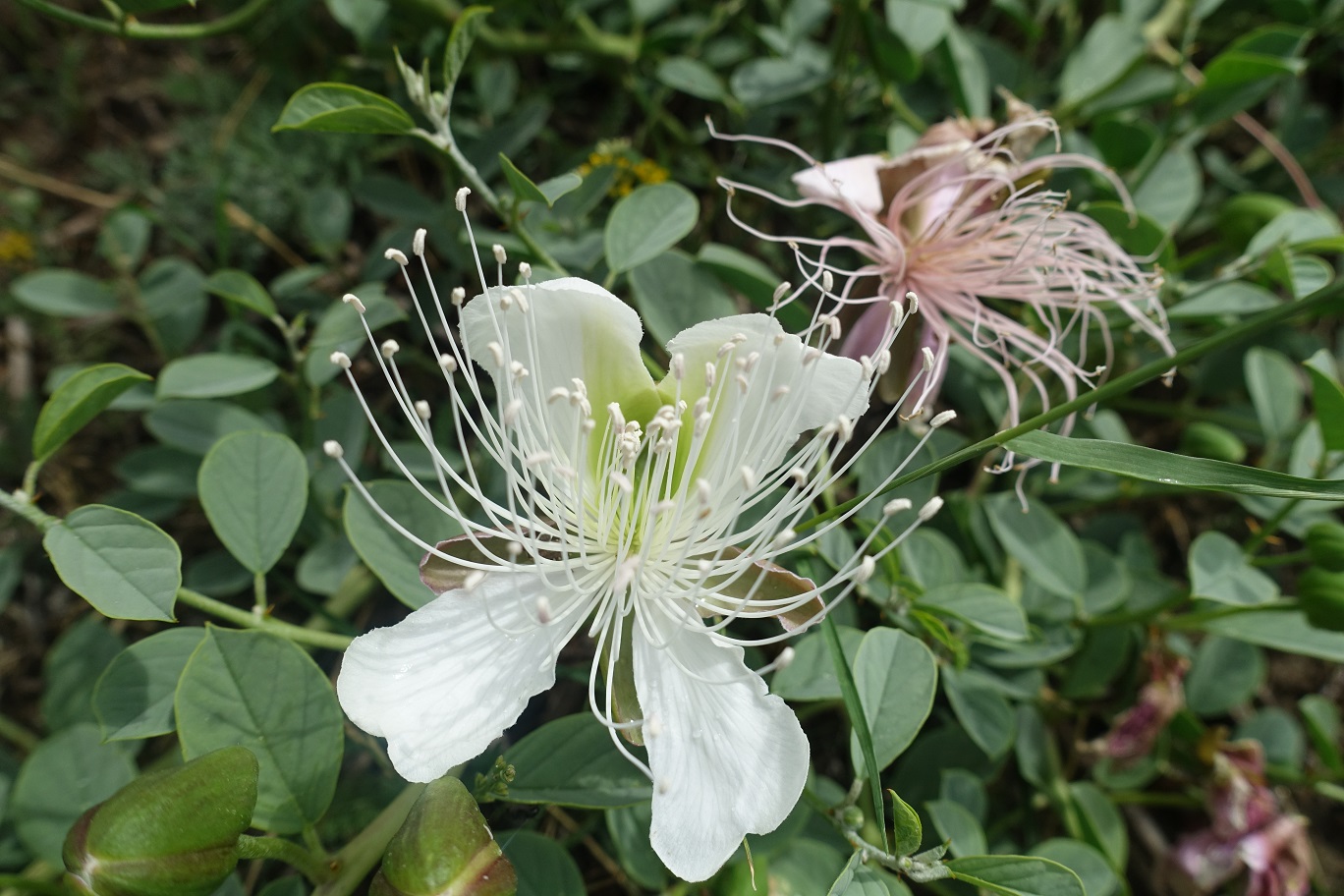 21_Regenbogenberge_8