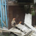 08_Omalo_24
